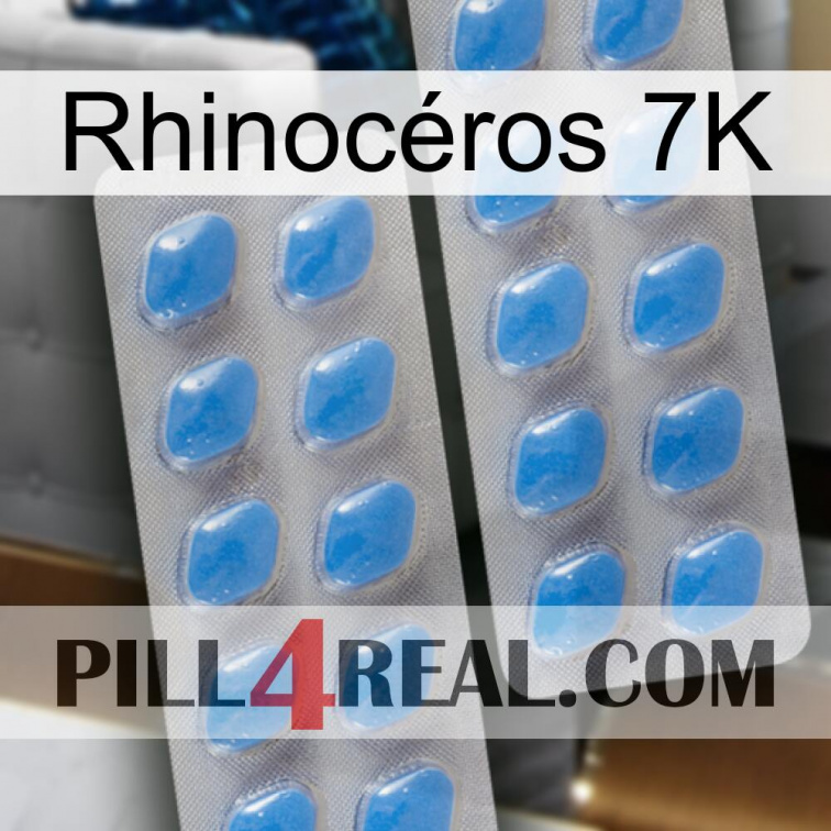 Rhinocéros 7K 23